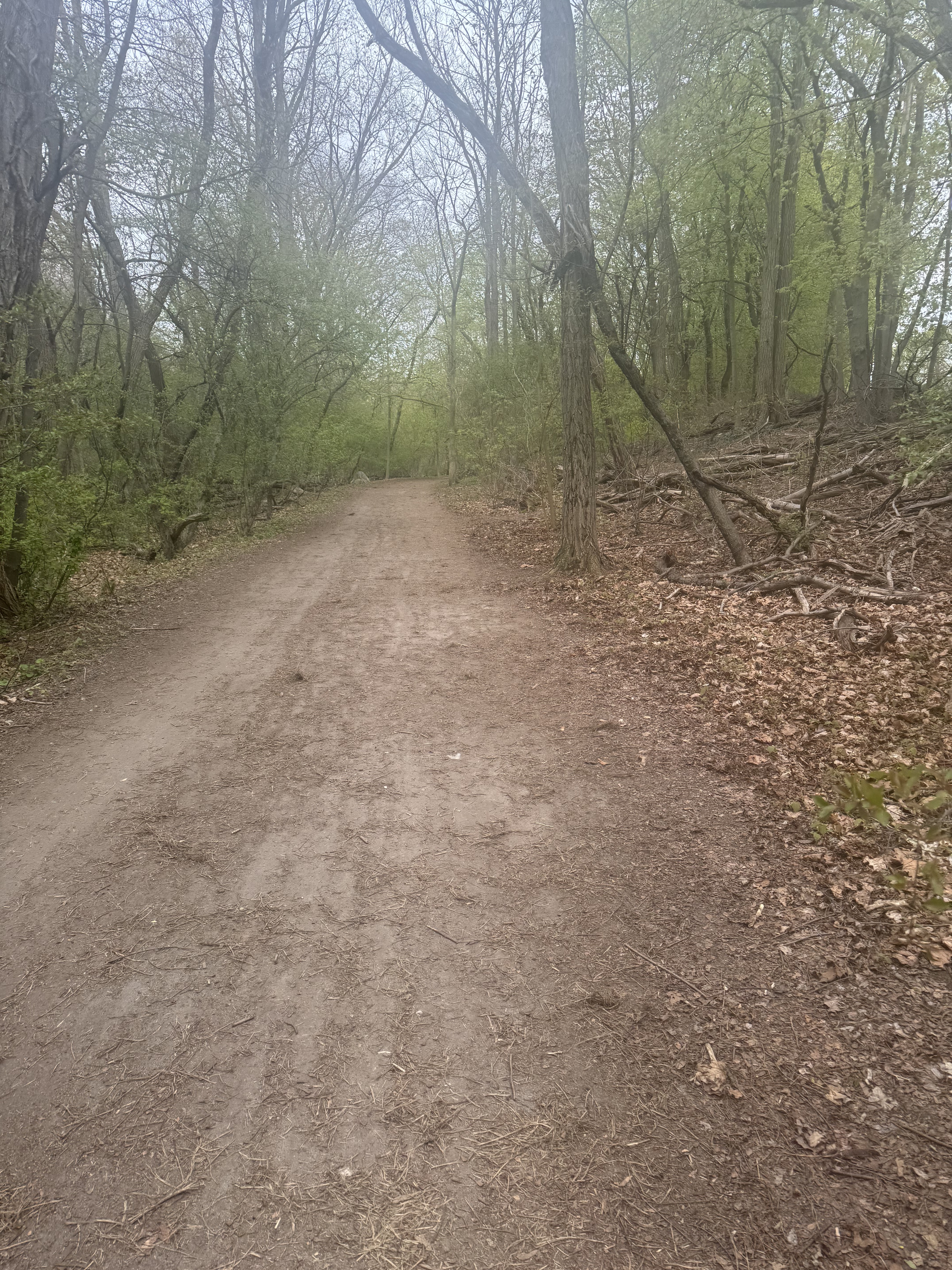 A random trail on my run
